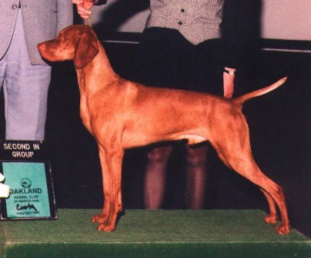 Image of Rivercity's High Dollar Hobby