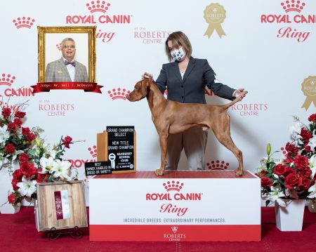 Image of Scout 'Em Out Shotgun Rider