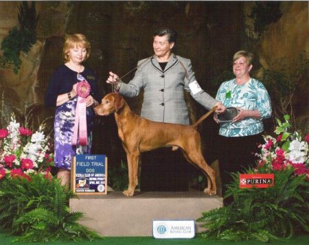 Image of Soco's Pinnacle Inspired One