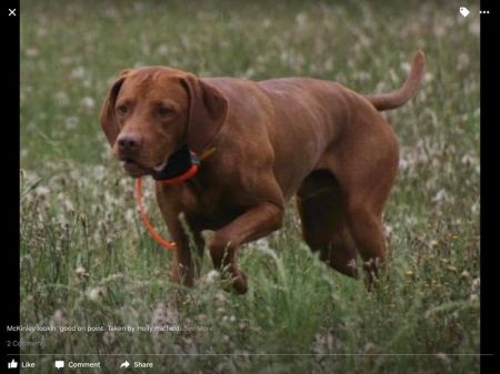 Image of Soco's Pinnacle Inspired One