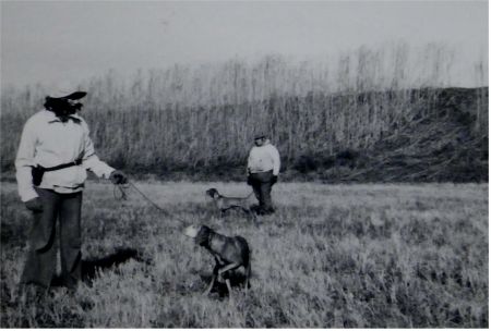 Image of Behi Heves Hanos