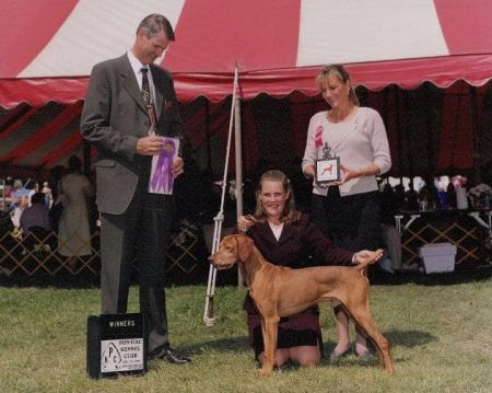 Image of Scout 'Em Out