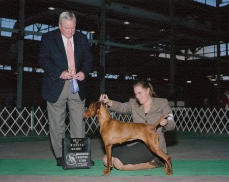 Image of Scout 'Em Out Testing The Limits