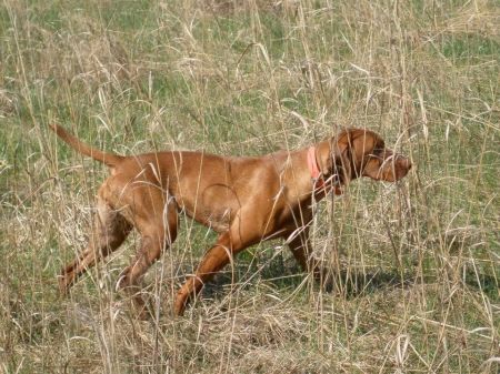 Image of Scout 'Em Out Takin' Your Breath Away