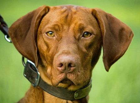 Image of Scout 'Em Out Takin' Your Breath Away