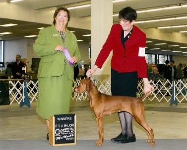 Image of Union Hill's As Luck Would Have It