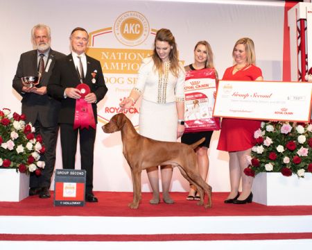 Image of Tradewind's Ida Bomb