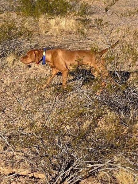 Image of Goldstar Scuz Me While I Kiss The Sky