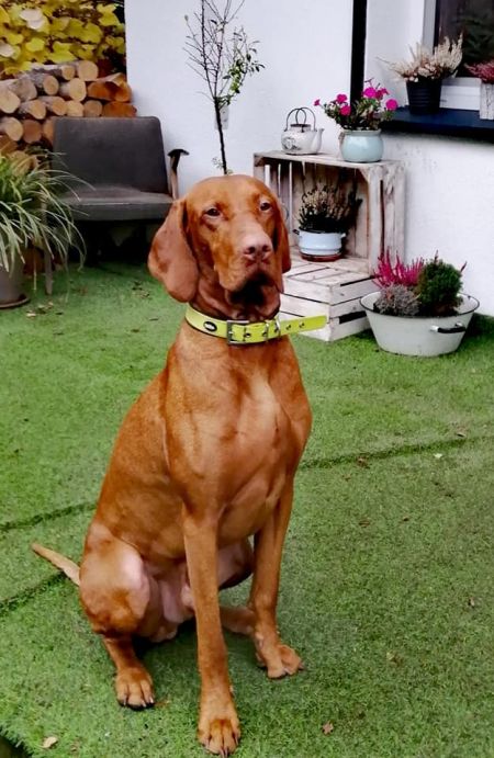 Image of Shilla Line Euro