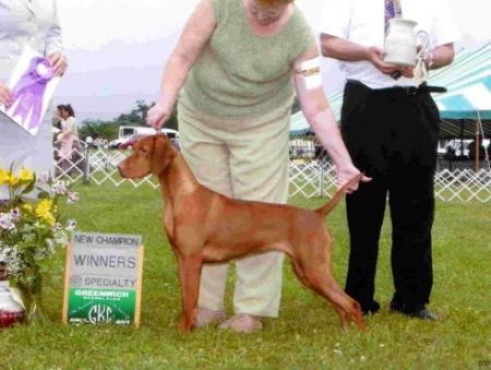 Image of Szizlin's Run For The Roses