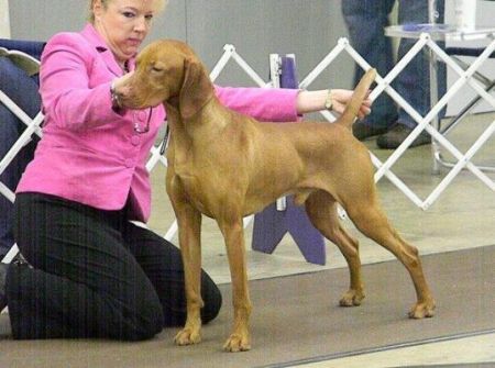 Image of Olde Ridge On Tidbury Creek