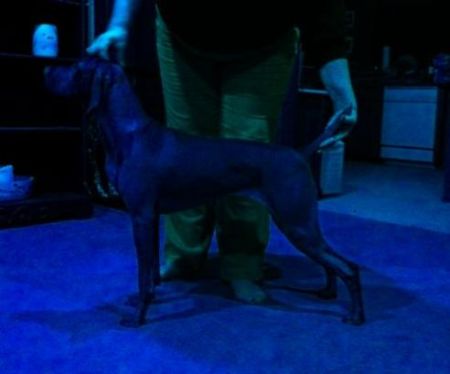 Image of Olde Ridge Let's Talk About Me