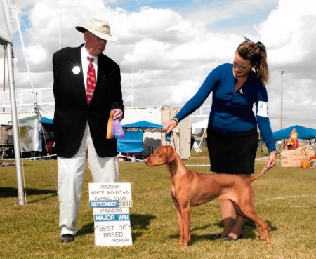 Image of Comynara Adorable Bedlam
