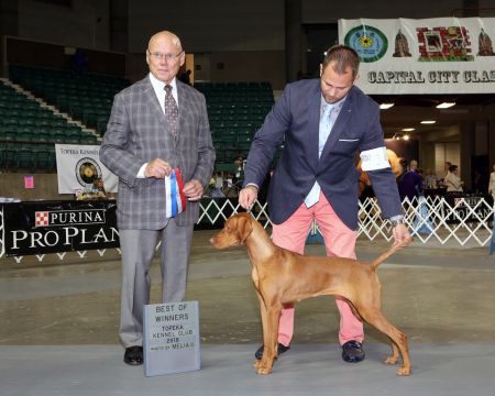 Image of Comynara Adorable Bedlam