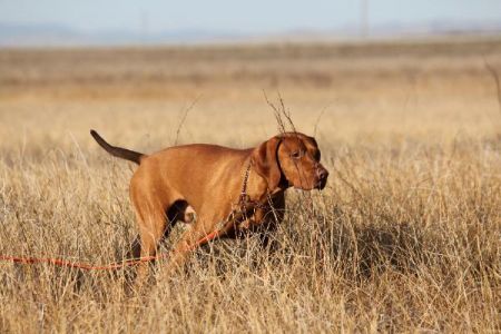 Image of Hrq Ask The Expert