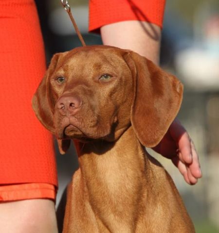 Image of Hrq Ask The Expert