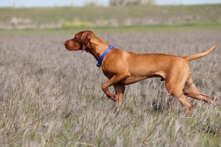 Image of Hrq Ask The Expert