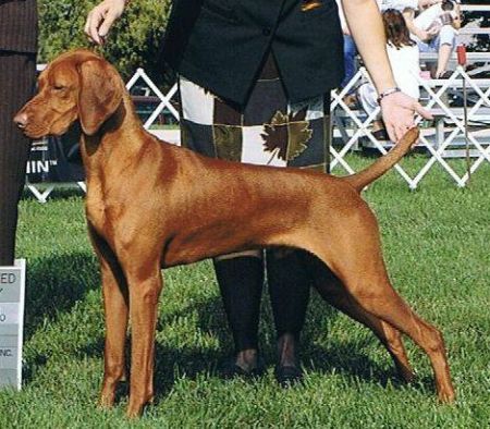 Image of Jazzberrys Oh Say Can You See