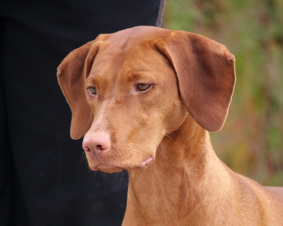 Image of Ourdream's I'd Wanna Be Me Too