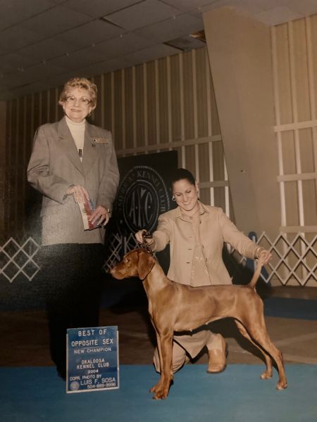 Image of Barben's Miss American Pie