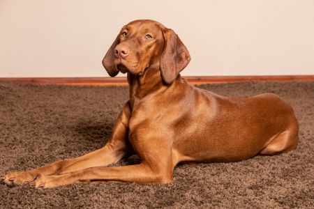 Image of Naomi of Skyrocket