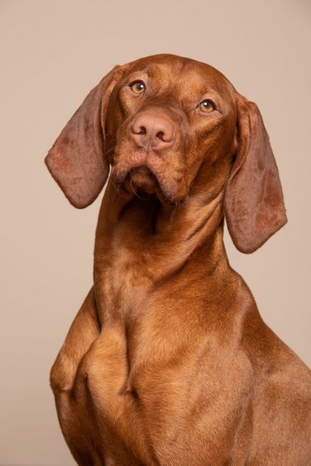 Image of Naomi of Skyrocket