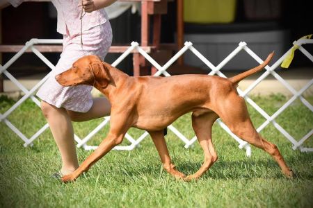 Image of Berkcor's All That And A Bag Of Chips