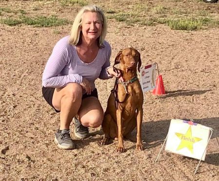 Image of Valhalla's Need for Speed