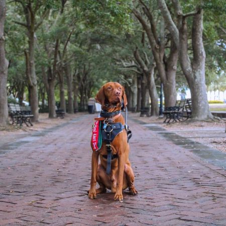 Image of Solaris Risky Business