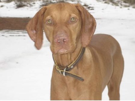 Image of Jaybren's From Outa Africa