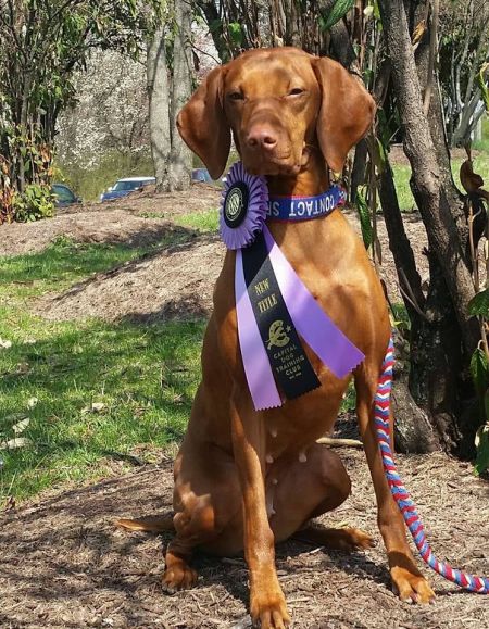 Image of Jnek's Matter of the Heart