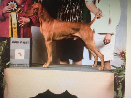 Image of Wingsonggrousebend Storminbrigade