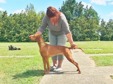 Image of Floki Majesty Thug