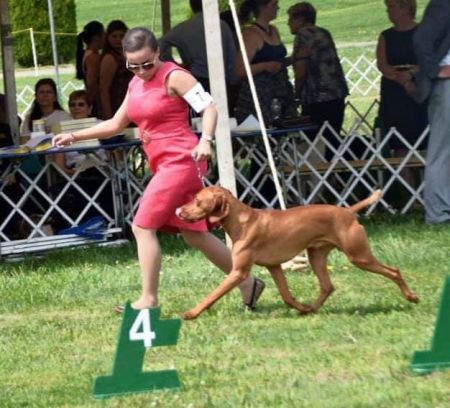 Image of Berkcor's Wrecking Crew