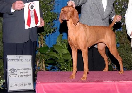 Image of Jazzan Eloise Of The Ny Plaza