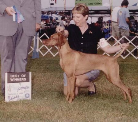 Image of Boshar's Not A Cloud In The Sky