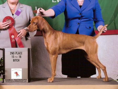 Image of Derby's I Told You So