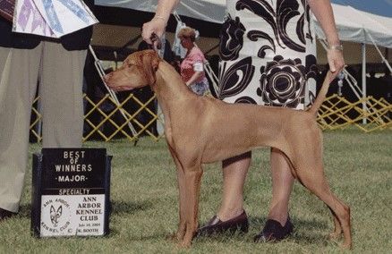 Image of Derby's Mint Julep