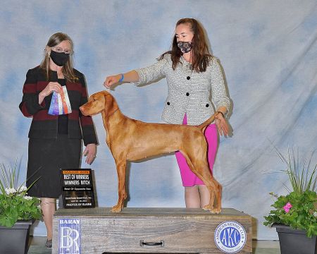 Image of De Oro's Upcountry Quetzal