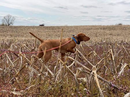 Image of Panacea's All About Making The Grade