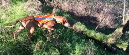 Image of Magasparti Rutinos Adu