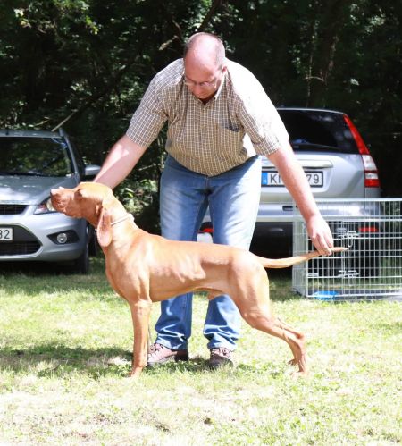 Image of Gyurkóvári Sámson