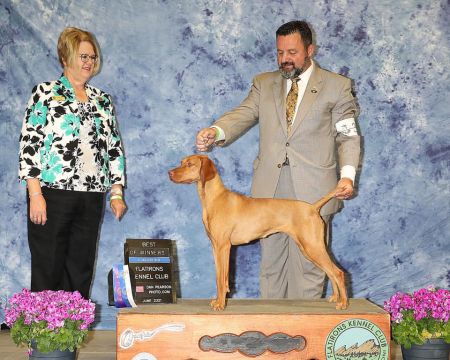 Image of Sincerus Magnificent Obsession of Latierra