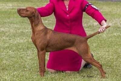 Image of Aceweis I Am Sam I Am