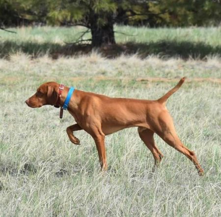 Image of Kindred Spirit Sterling M Archer Hwy2 Danger Zone