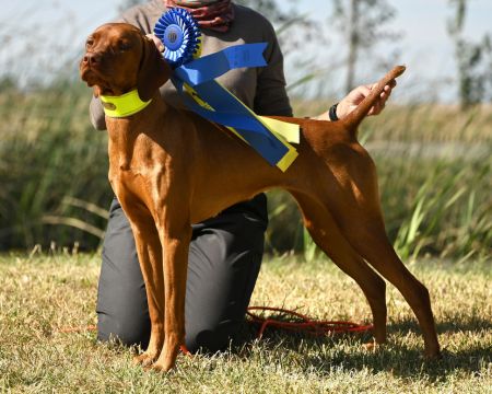 Image of Moonlight Easy To Feel