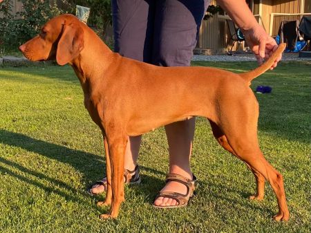 Image of Sokoldalu's Total Bliss Since Ur 1stkiss of Tierah