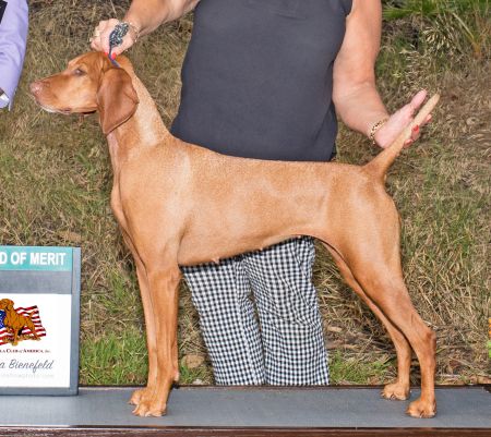 Image of Red Diamond Dancing With Fire