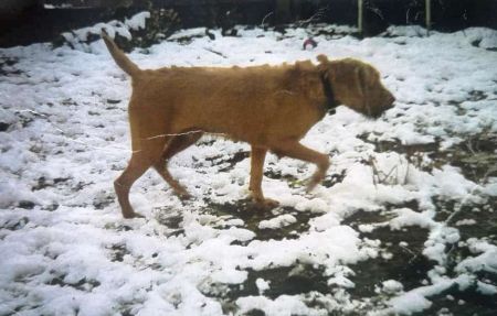 Image of Gibarmenti Cimbi