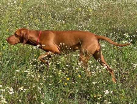 Image of Emily Free Jazz